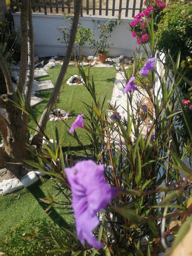 הוילה Pórto Ráfti La Casa De Portorafti מראה חיצוני תמונה
